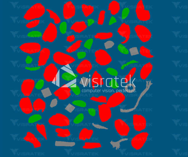 Visratek Hyperspectral Almond Inspection and Sorting