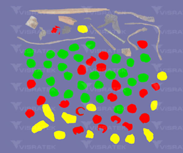 Visratek Hyperspectral Hazelnut Inspection and Sorting