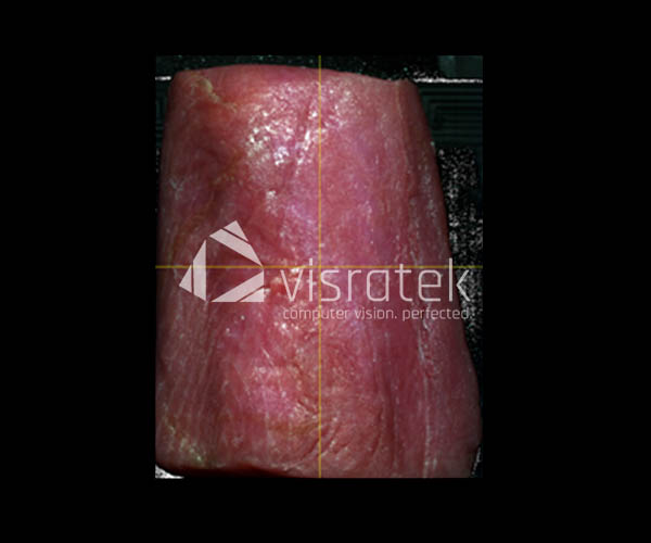 Visratek Hyperspectral Histamine Detection in Tuna Fish